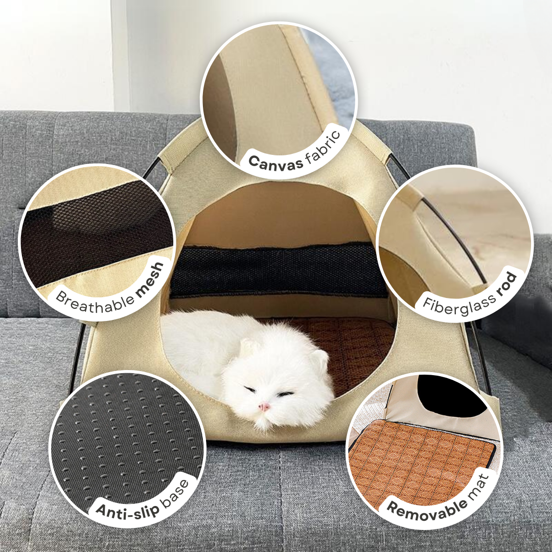 Cat Tent Bed