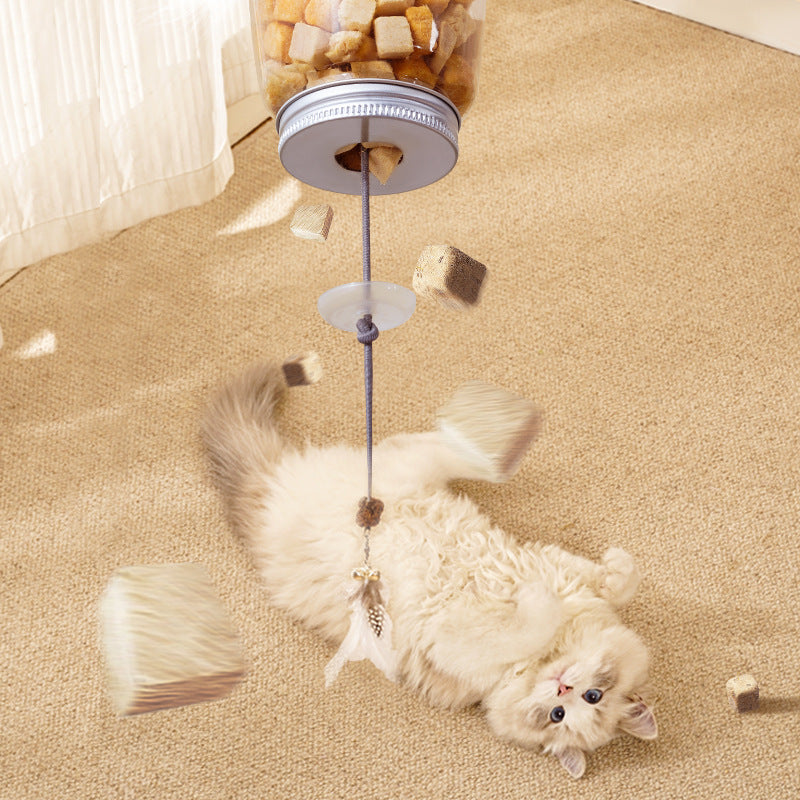 Hanging Treat Toy