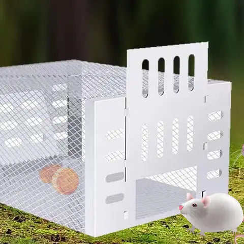 Animal-friendly mouse trap