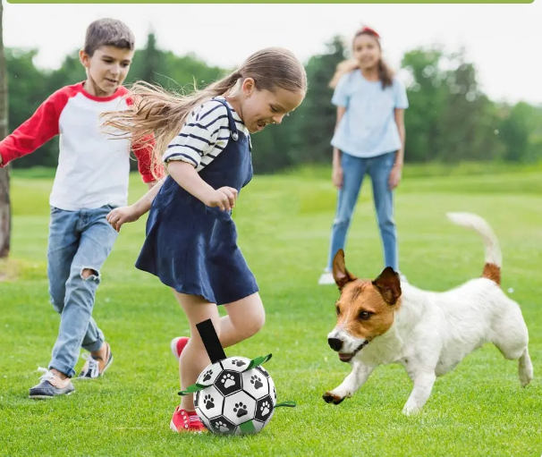 Soccer Ball For Dogs