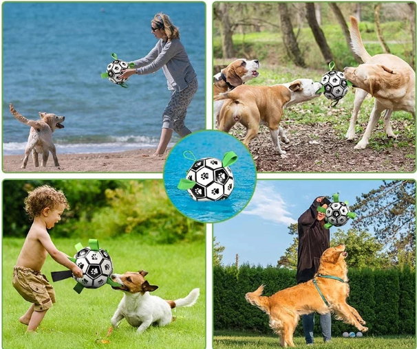 Soccer Ball For Dogs