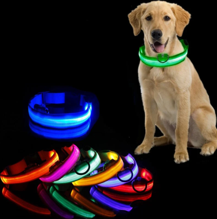 Dog LED Collar