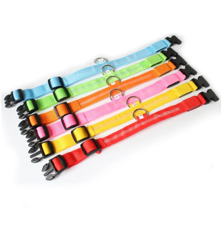 Dog LED Collar