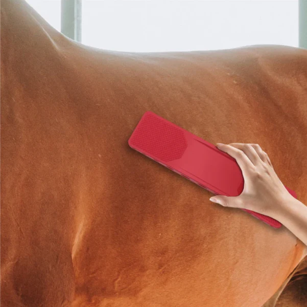 Horse Coat Care Brush