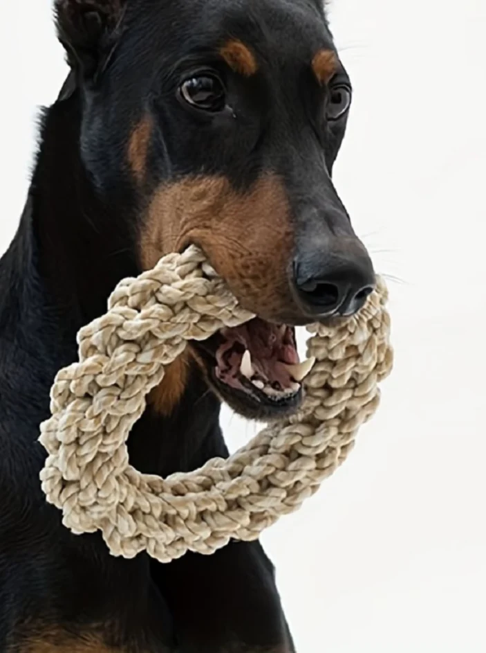 Robust Chew Ring For Dogs