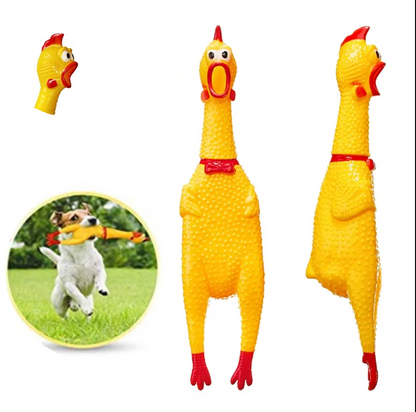 SqueakyChicken – Funny Squeaky Dog Toy