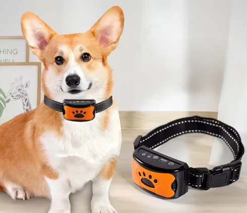 Animal-Friendly Anti-Bark Collar