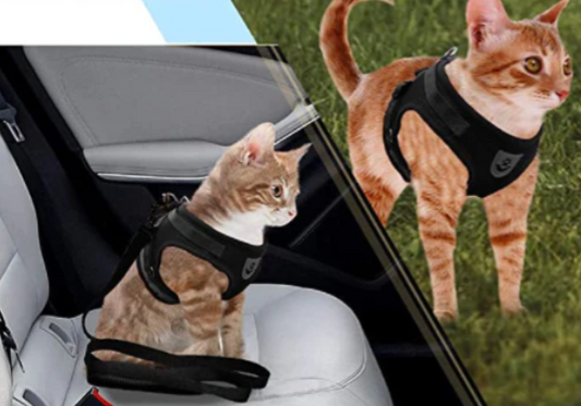 Breathable Cat Harness with Leash