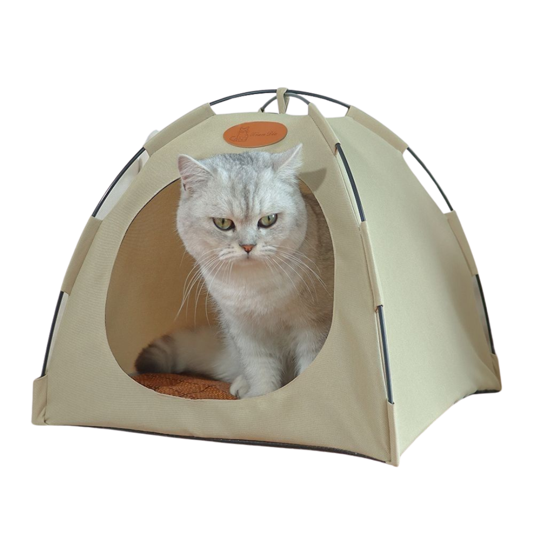 Cat Tent Bed