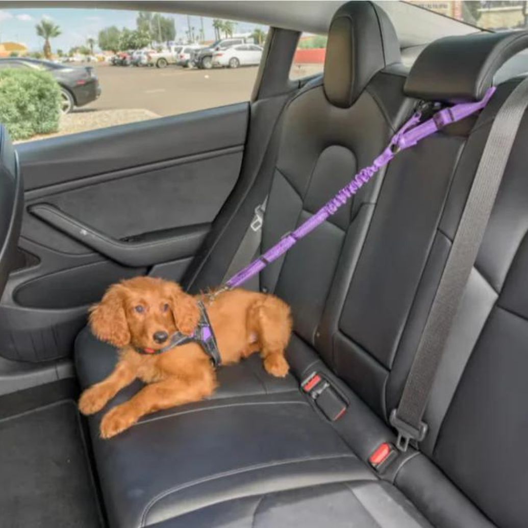 Dog Car Seat Belt Peppers Paradise