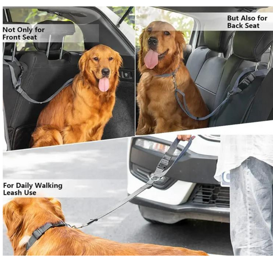 Dog Car Seat Belt