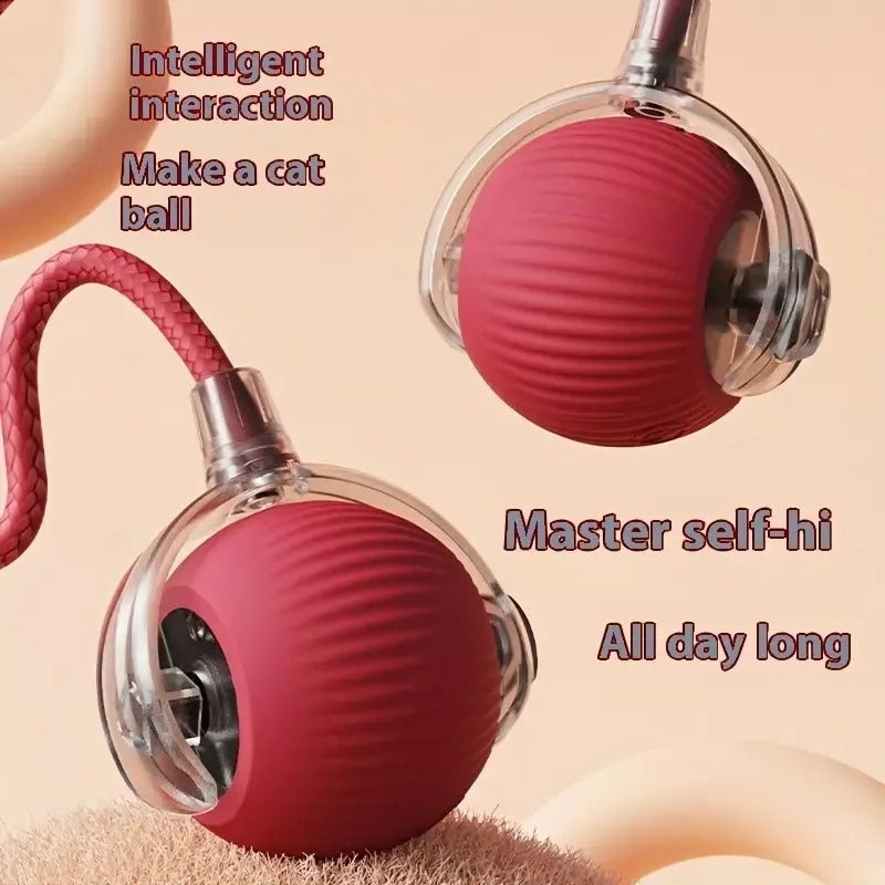 Interactive Cat Toy With Tail