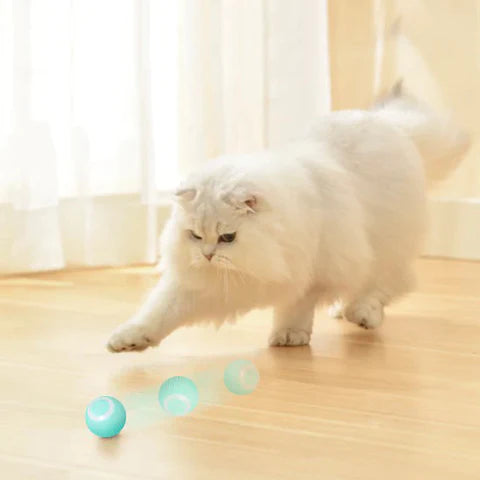 CatRoll - Interactive Cat Play Ball