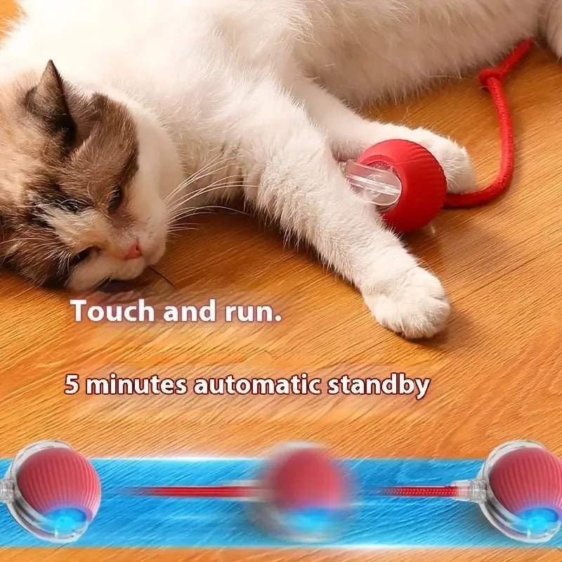 Interactive Cat Toy With Tail