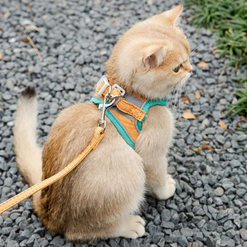 PurrSuit Adventure Kit - Cat Harness And Leash Set