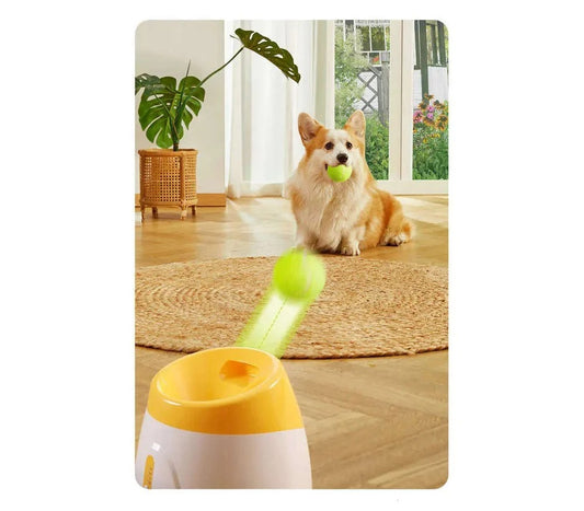 Automatic dog ball throwing machine