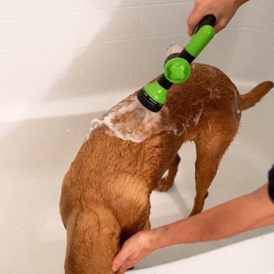 Outdoor Shower Head For Dogs