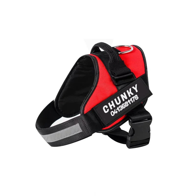 Personalized Dog Harness