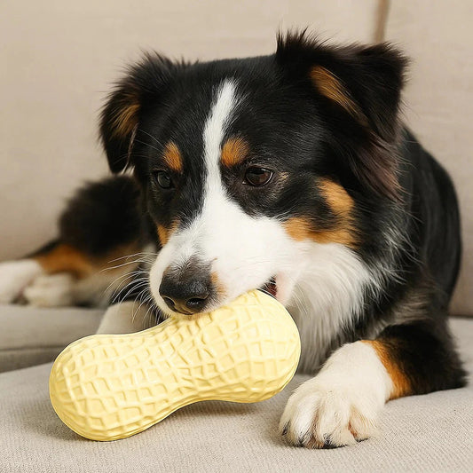 Peanut Power Chew Toy for Dogs