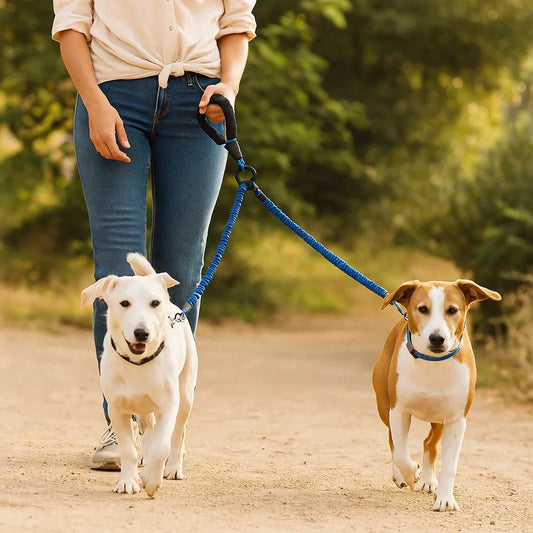 Anti-Knot Double Dog Leash