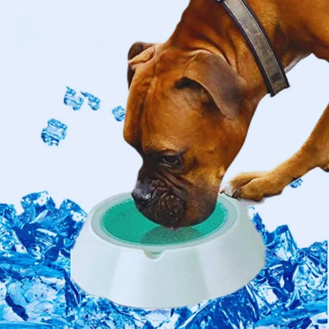 DrinkFix - Anti-Splash Bowl