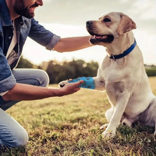 Thermal Paw Protection Bandage
