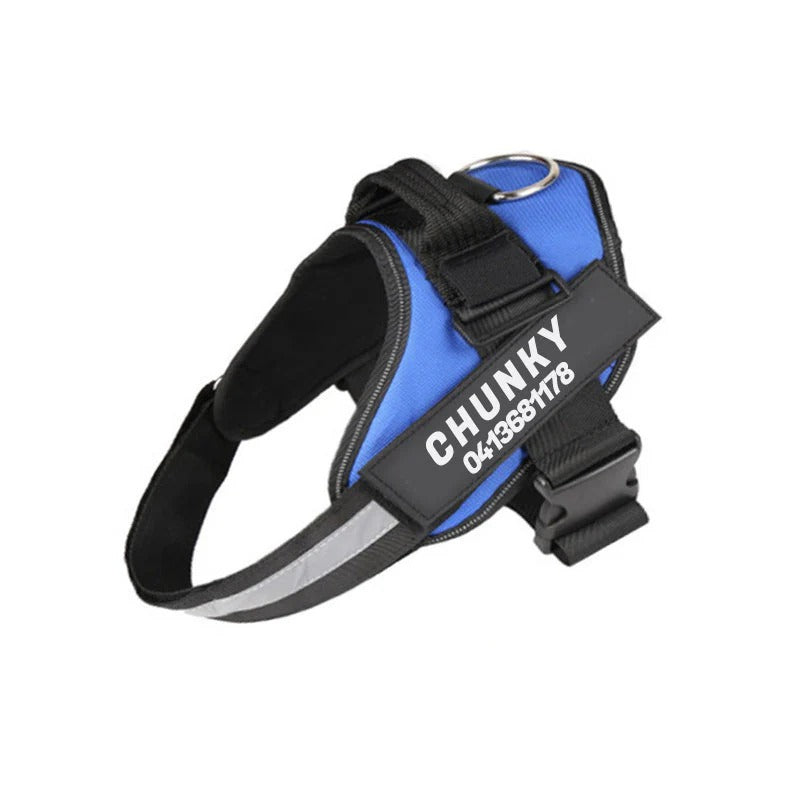 Personalized Dog Harness