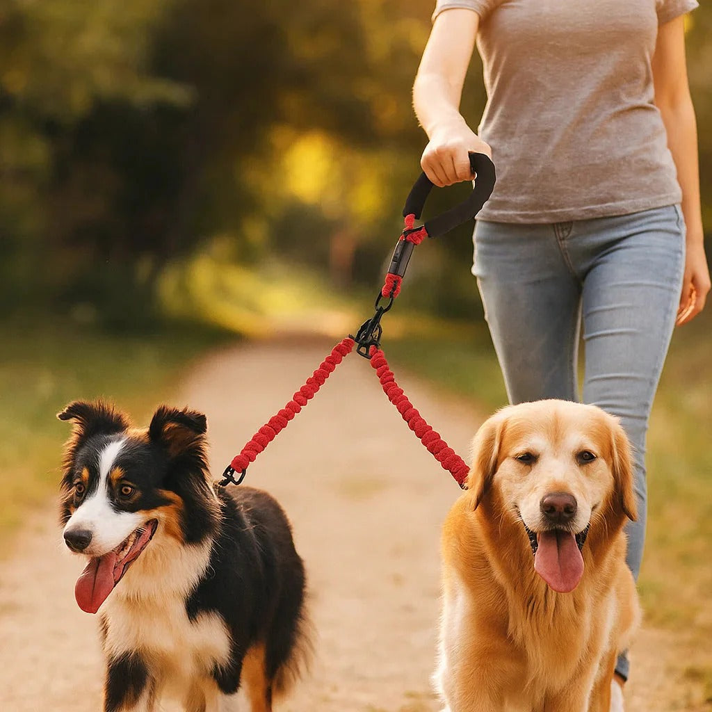 Anti-Knot Double Dog Leash