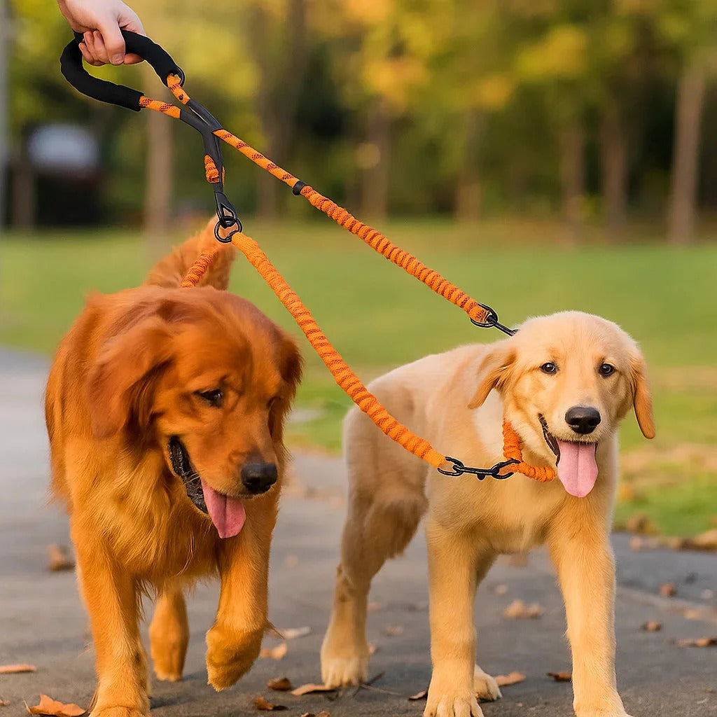 Anti-Knot Double Dog Leash