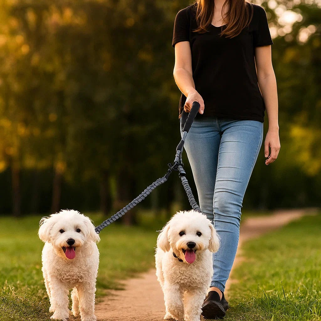 Anti-Knot Double Dog Leash