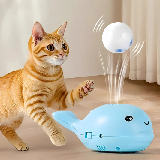 FloatyFin - Floating Ball Toy