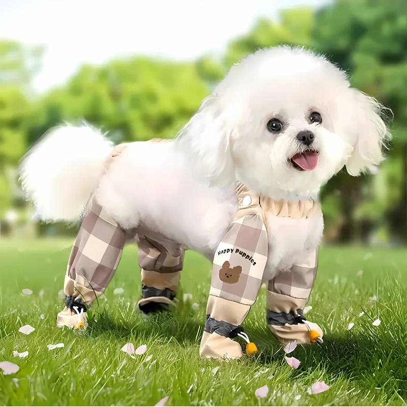 PawSuit - The Clean Paw Set