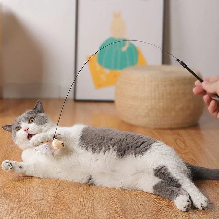 Cat Feather Wand Toy