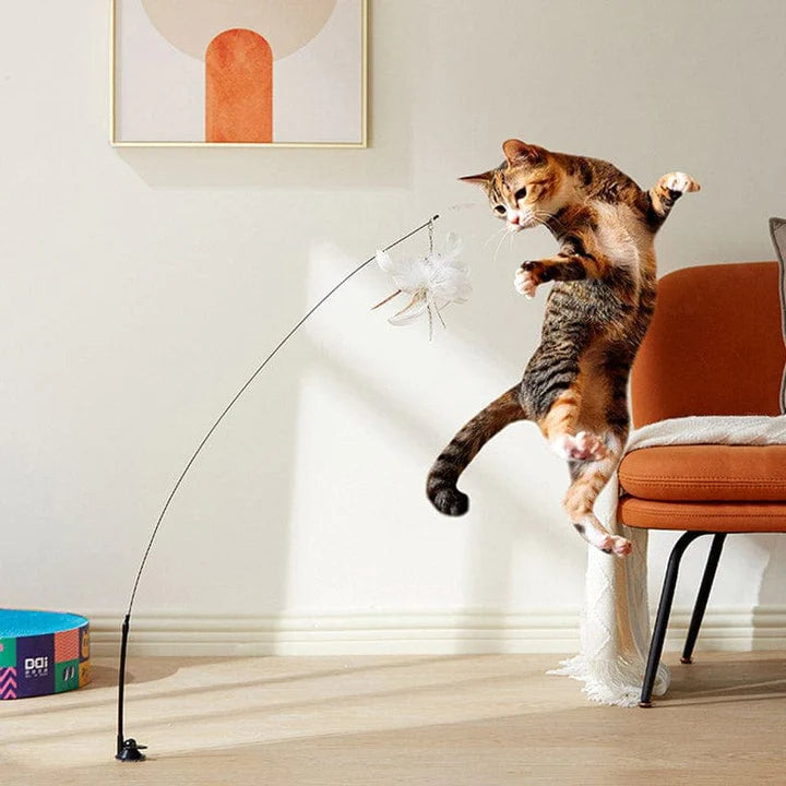 Cat Feather Wand Toy