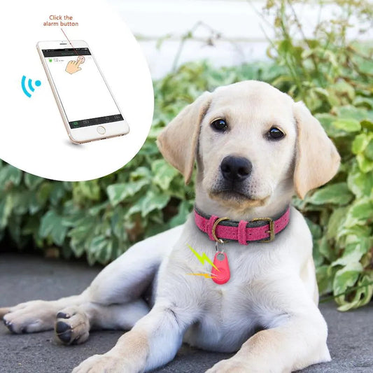 GPS Tracker for Dogs