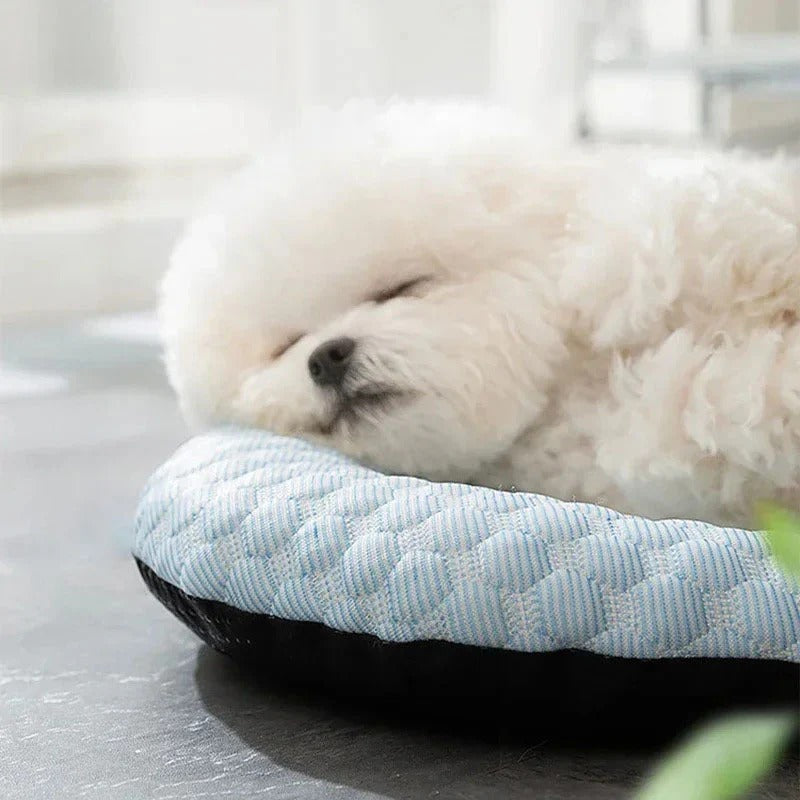 Dog Cooling Bed