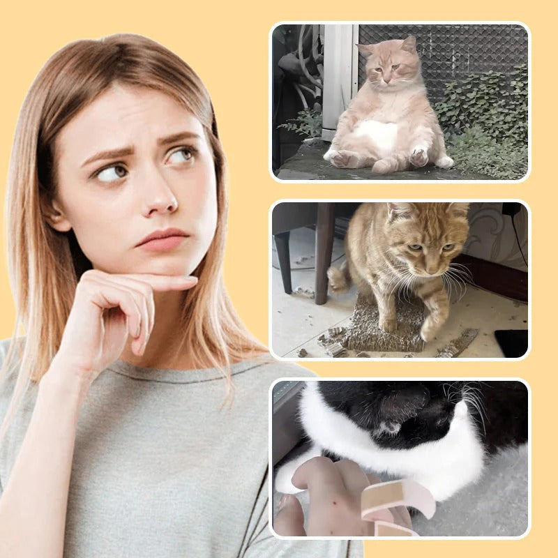 Interactive Mouse Toy for Cats